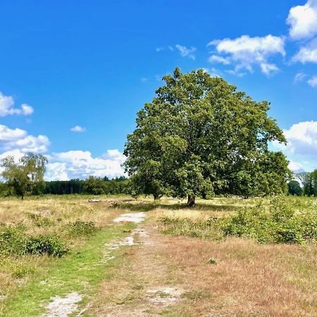 Buitenlust In Het Bos Zuidlaren Exterior photo